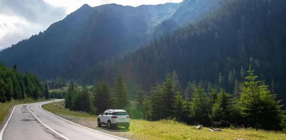 Алматыда жүргізушісіз автокөлік жалдау — Syndicate Auto-пен толық еркін бағыт таңдауы. Алматыда жүргізушісіз автокөлік жалдау — Syndicate Auto-пен толық еркін бағыт таңдауы.