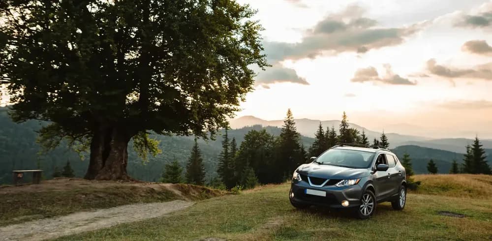 Long-Term Car Rental in Almaty Long-Term Car Rental in Almaty